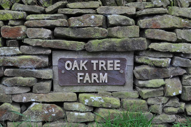 Oak Tree Farm Oak Tree Farm