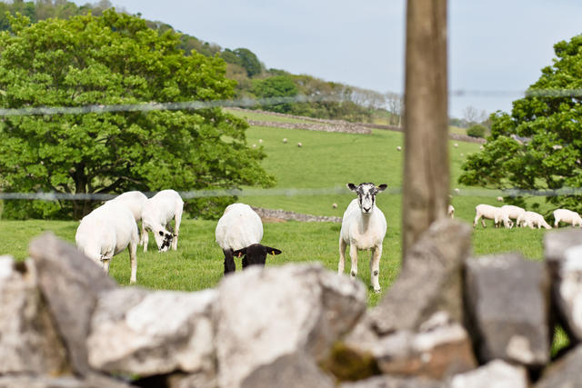 Countryside views Countryside views