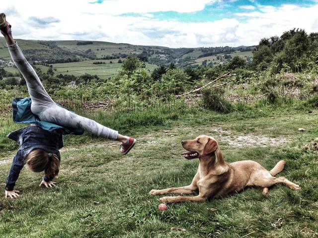 Doggie Walks in the Peak District